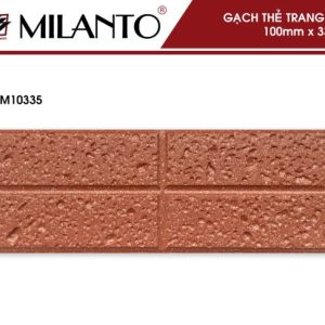 Gạch thẻ trang trí M10335