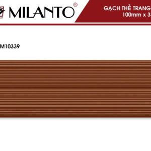 Gạch thẻ trang trí M10339