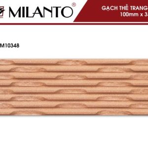 Gạch thẻ trang trí M10348