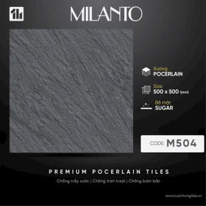 Gạch Sân Vườn M504